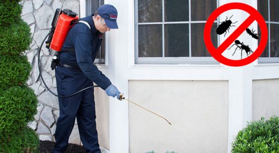Ilgaz Gümüşkurt İlaçlama böcek ilaçlama ve haşere kontrolü — ilaclama-tr.com